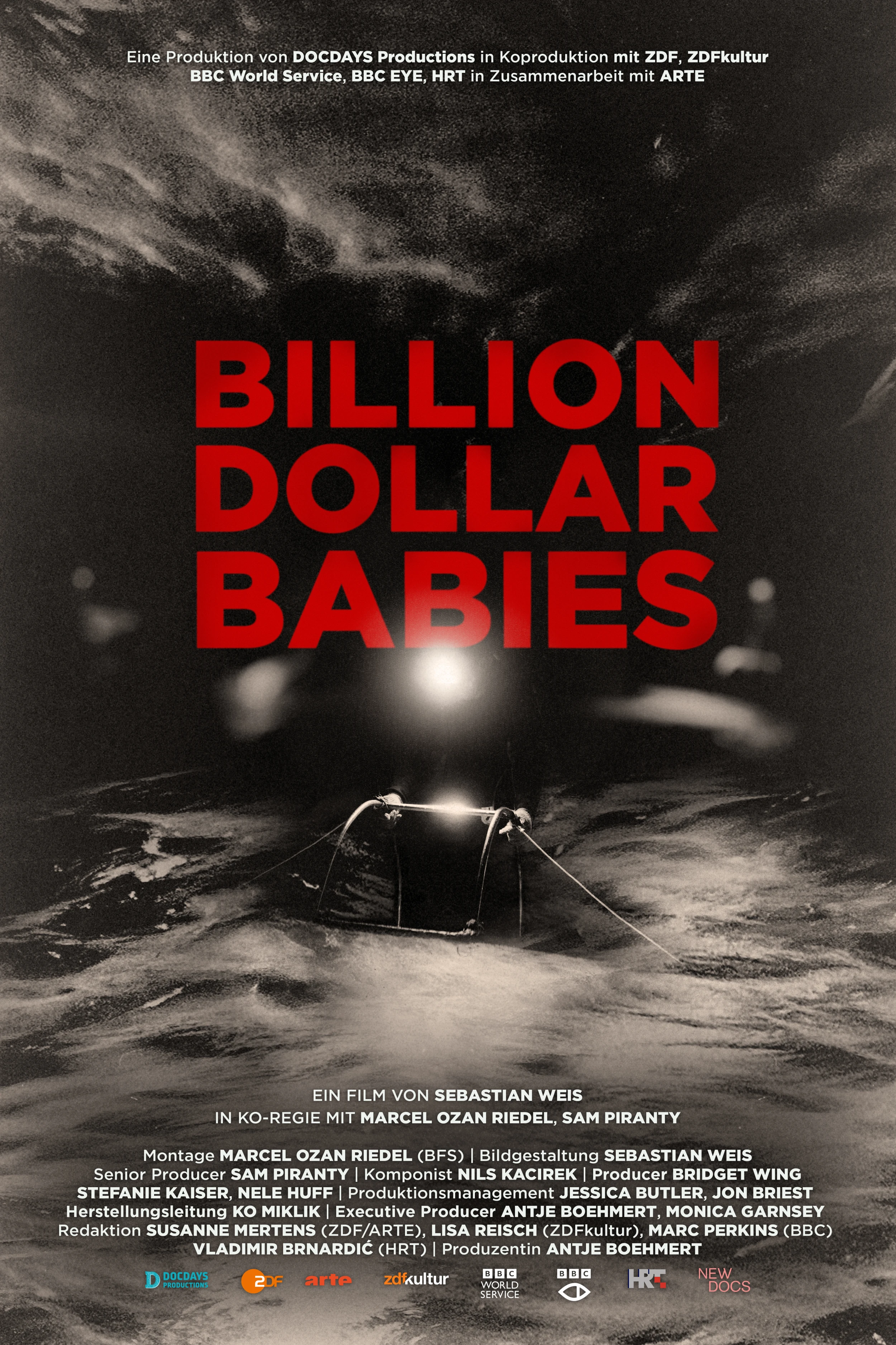 Billion Dollar Babies